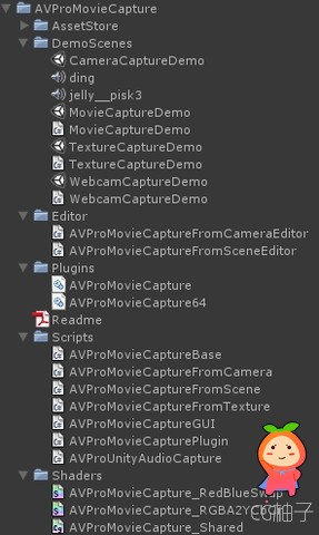 AVPro Movie Capture 2.94.1