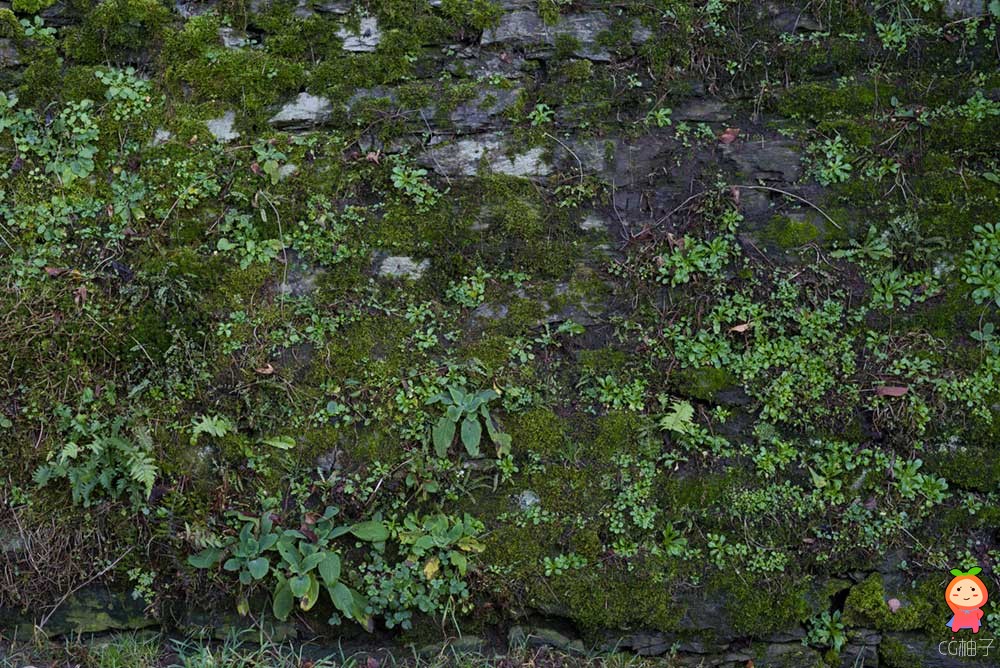 旧石墙纹理裂痕 墙壁山石苔藓草皮混凝土超高清国外材质