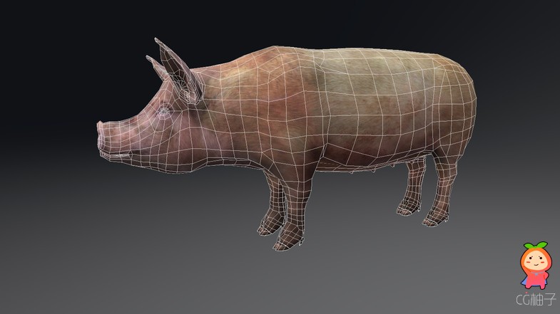 Pig lowpoly 1.1 unity3d