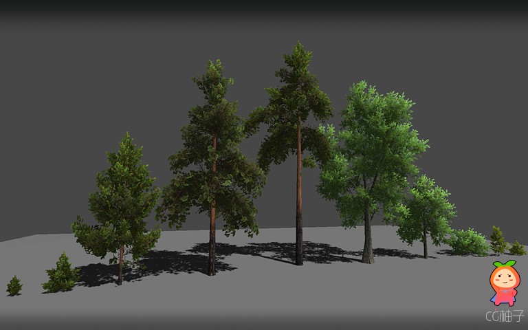 Realistic Forest Pack 