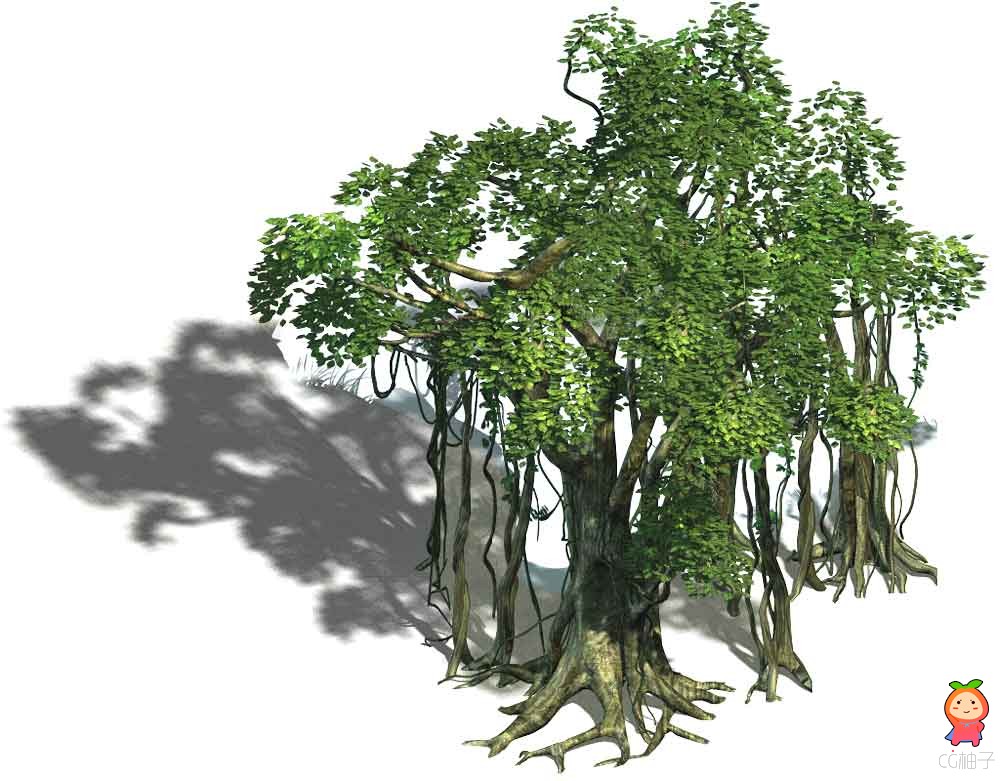 png植物素材免费下载  树木灌木竹林植物修图资源