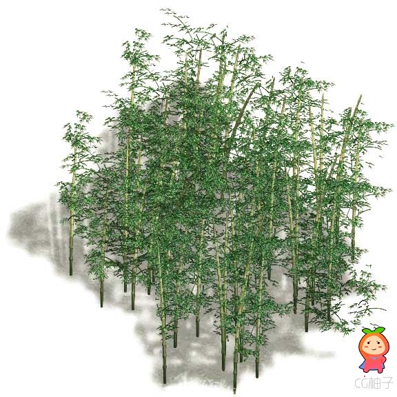 png植物素材免费下载  树木灌木竹林植物修图资源