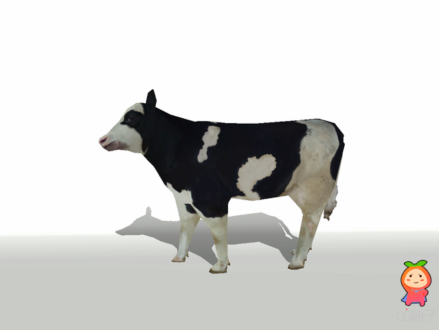 Requires Unity 3.3.0 or higher. A low-poly, well rigged Cow set with seven animations. *Click here t ...