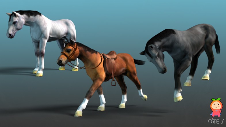 Horse - Shetland & Hanoverian 4.5.2 马匹模型 