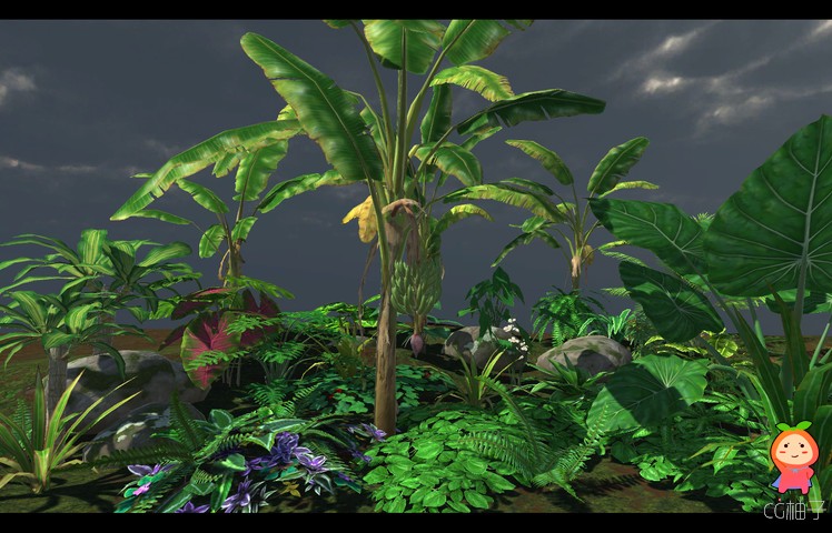 热带树叶模型香蕉树热带植物藤蔓蕨类