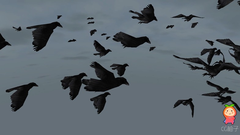 鸟群模型 乌鸦鸟类乌鸦群