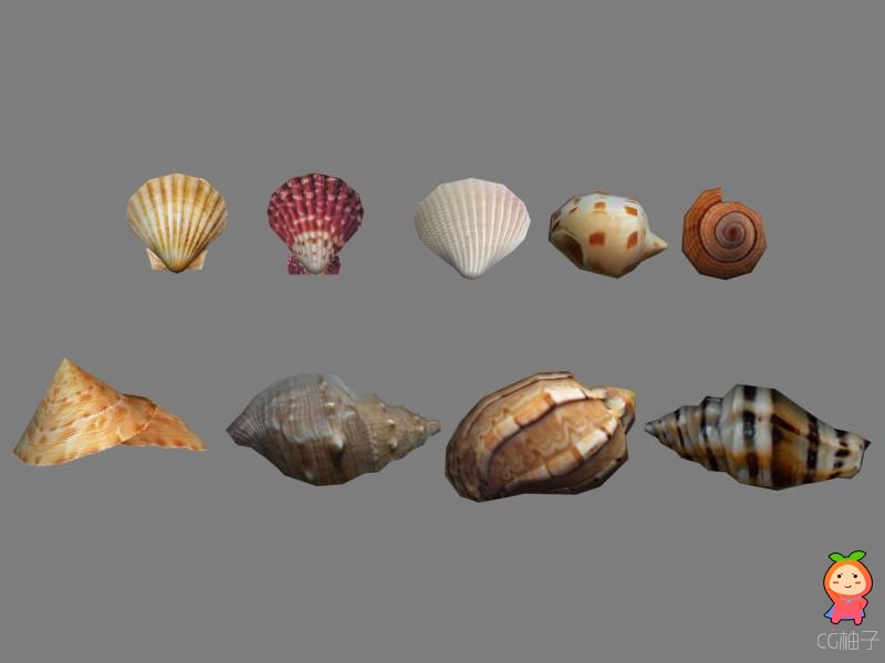 海滩上的贝壳模型 海螺3dmax贝类资源免费下载