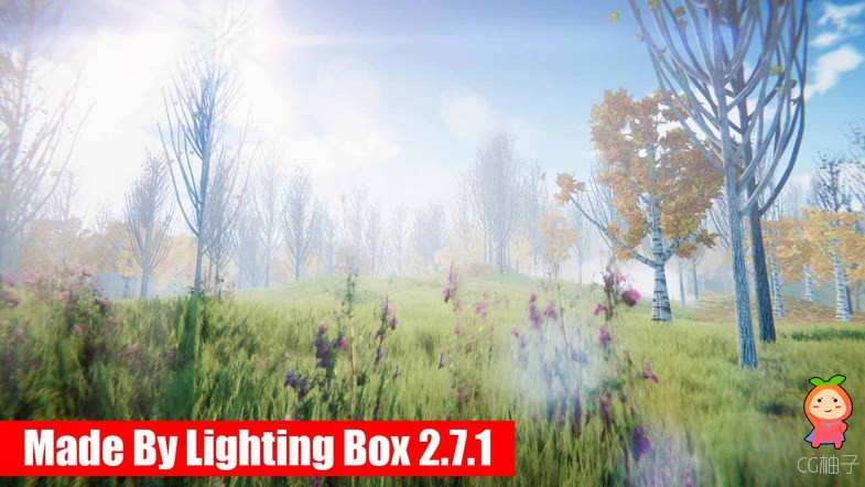 Lighting Box 