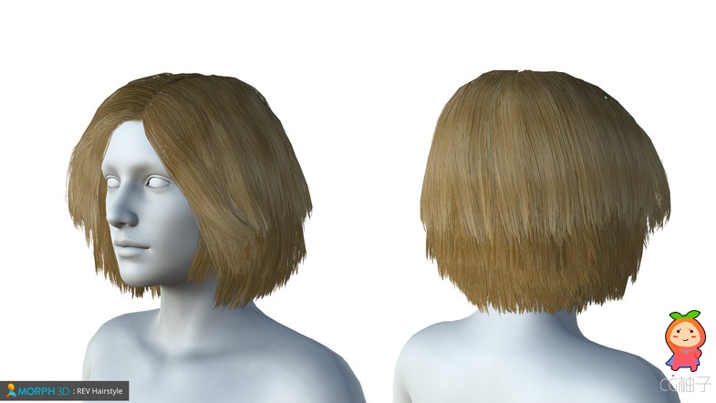 MCS Female Hair Pack 2 1.6 女性头发现代发型模型