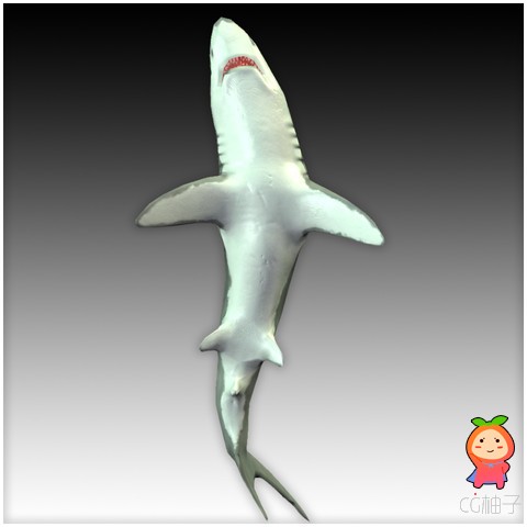 Great White Shark 1.0 