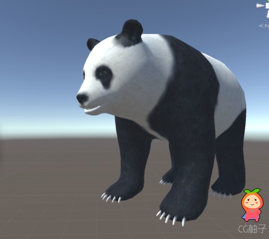 熊猫模型 