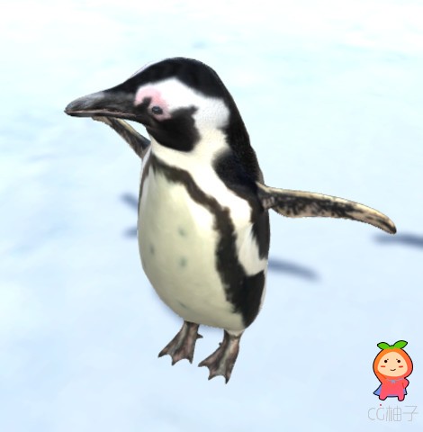企鹅动画模型免费