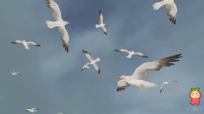 Bird Flock：Seagull 2.4.2 