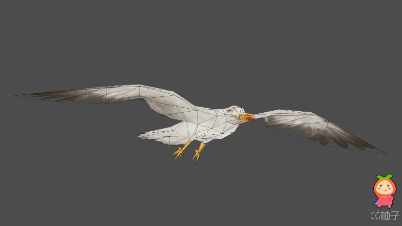 Bird Flock：Seagull 