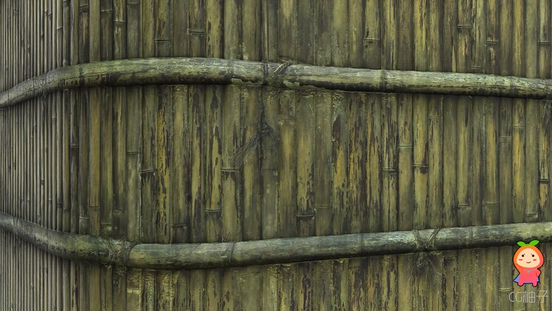 Bamboo Wall - Japan 1.1 竹墙材质纹理 竹子