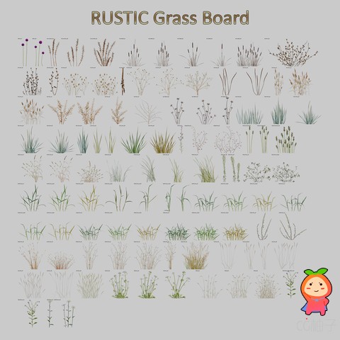 RUSTIC Grass 1.2