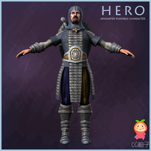 Hero Playable Character