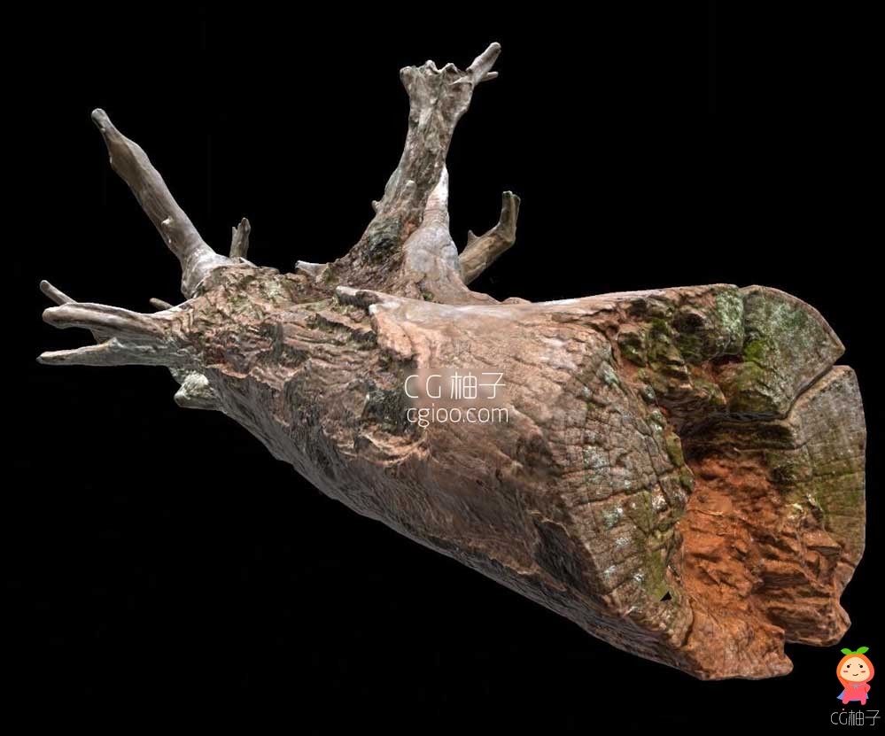 超写实的枯木 次世代树木根雕 4K 超清贴图 树干雕塑