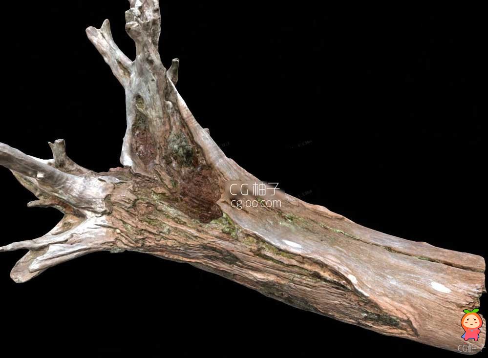 超写实的枯木模型 次世代树木树根 树干雕塑 古木