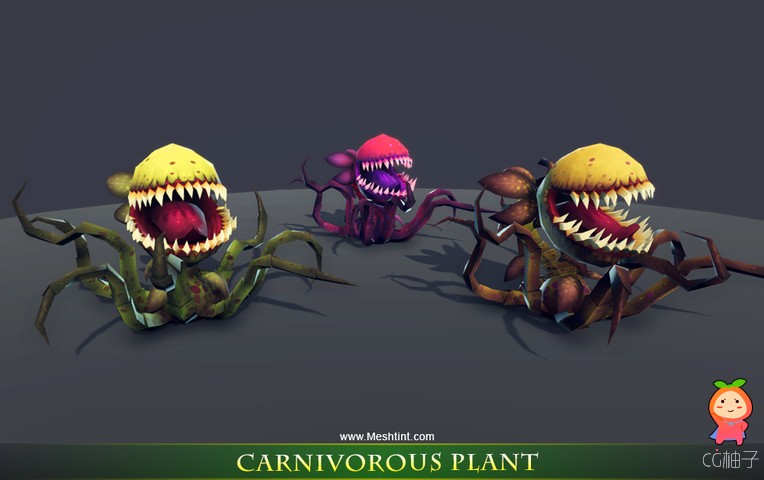 Carnivorous Plant 1.0 食肉植物模型 食人花模型