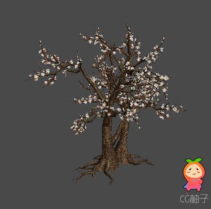 3DMAX 桃花树植物模型