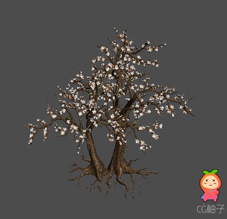 桃树模型