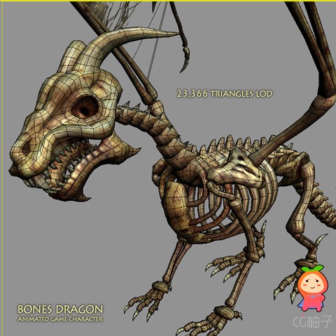 生物模型 恐龙骨架模型