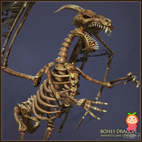 Bones Dragon 1.0  生物模型 恐龙骨架模型
