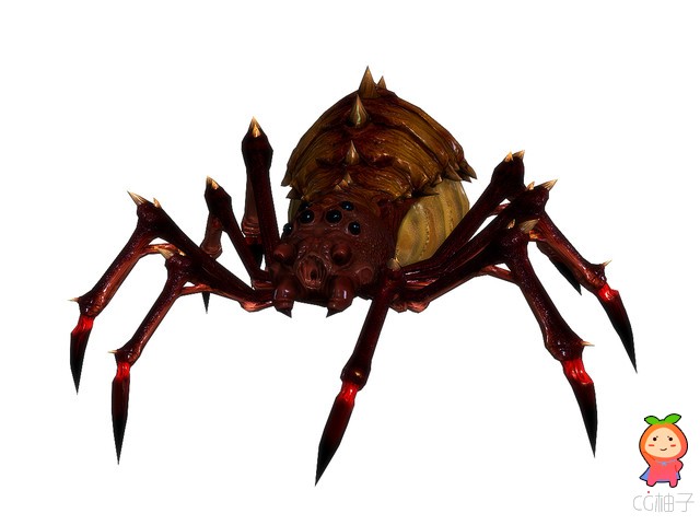 毒蜘蛛模型动画模型