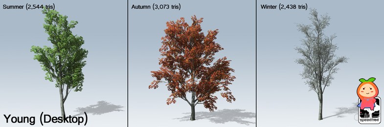 White Oak Package 1.1 树木模型 逼真植物模型