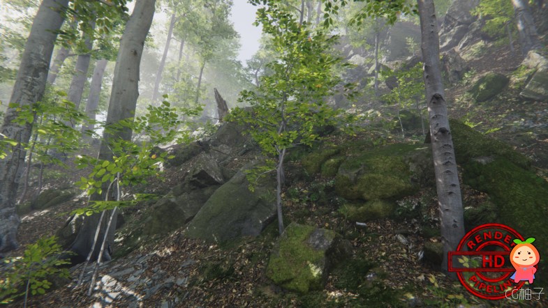 Forest Environment - Dynamic Nature 1.2 