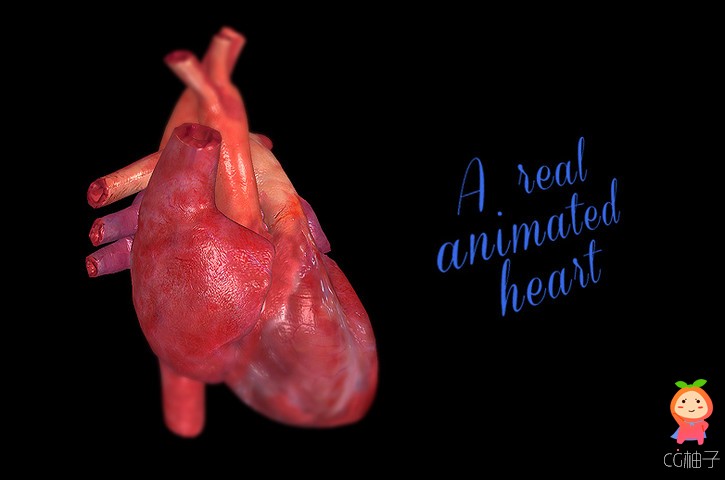 Heart Animated