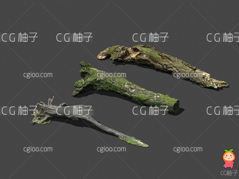 6款高精度植物模型 树木 森林 3D高模