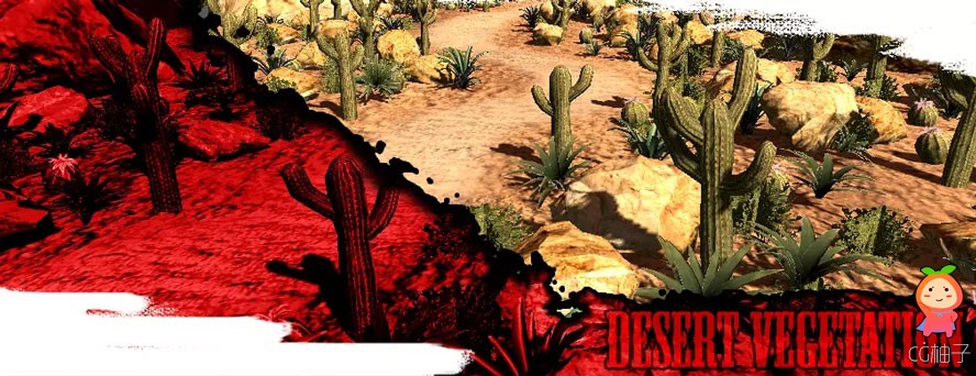 Desert Vegetation Pack 1.0 沙漠仙人掌岩石灌木模型