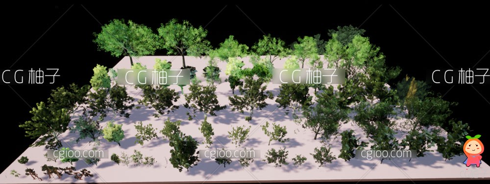 树木植物模型