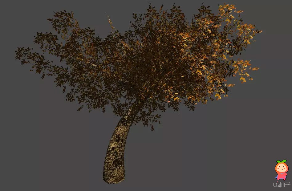  树模型