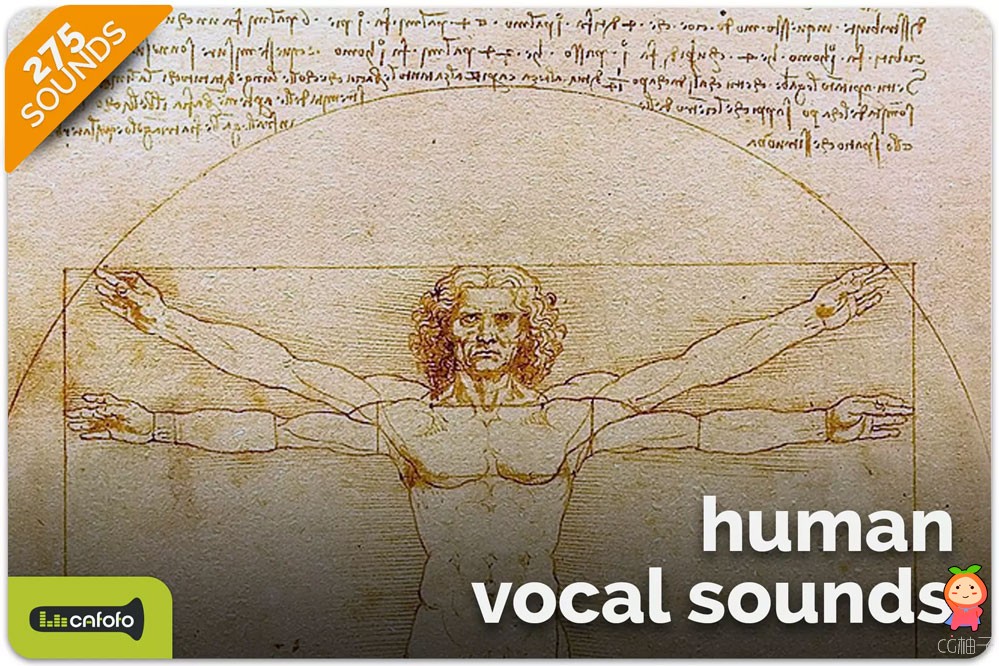 Human Vocal Sounds 1.0