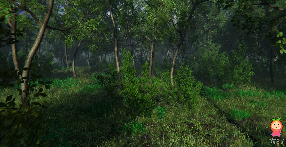 Nature Package - Swamp,Forest Environment 