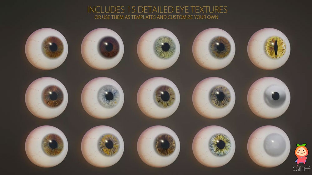 Eye Advanced 1.1真实的眼睛眼球眼珠模型