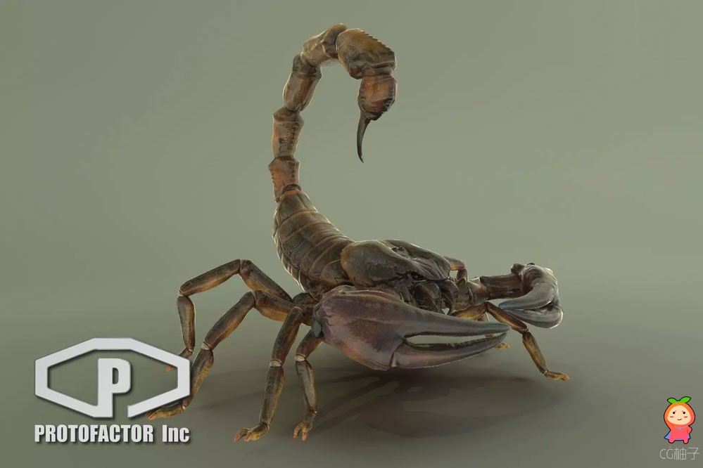 Giant scorpion 1.0