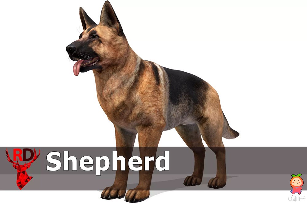 Dog Shepherd 2.0