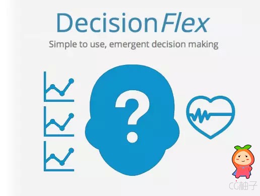 DecisionFlex 1.4