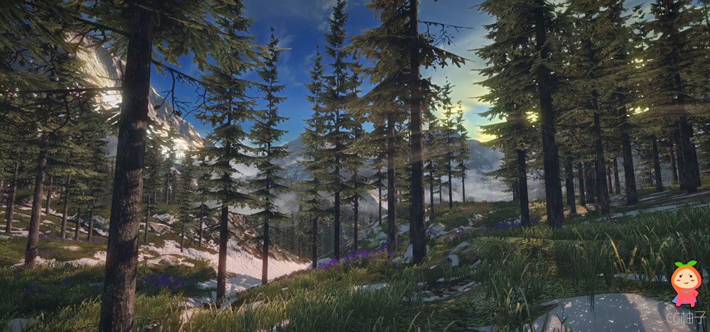 Mountain Lake Environment 