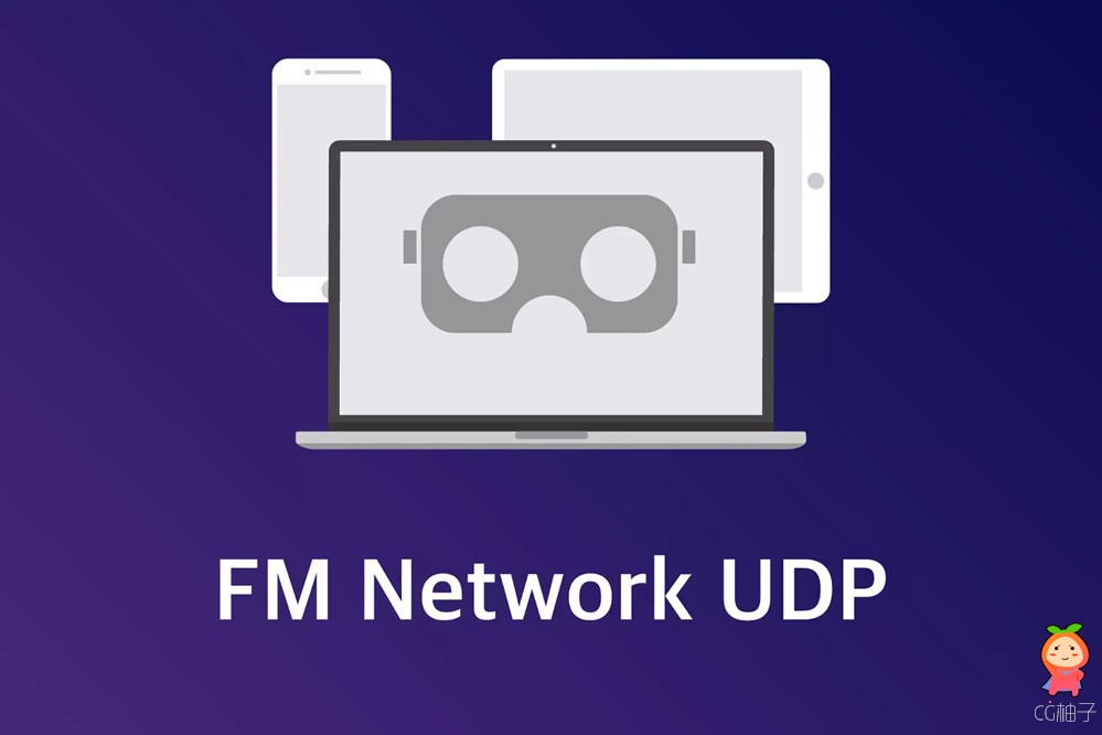 FM Network UDP 2.110