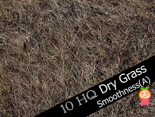 Dry Grass and Mud Photo-Texture 1.0