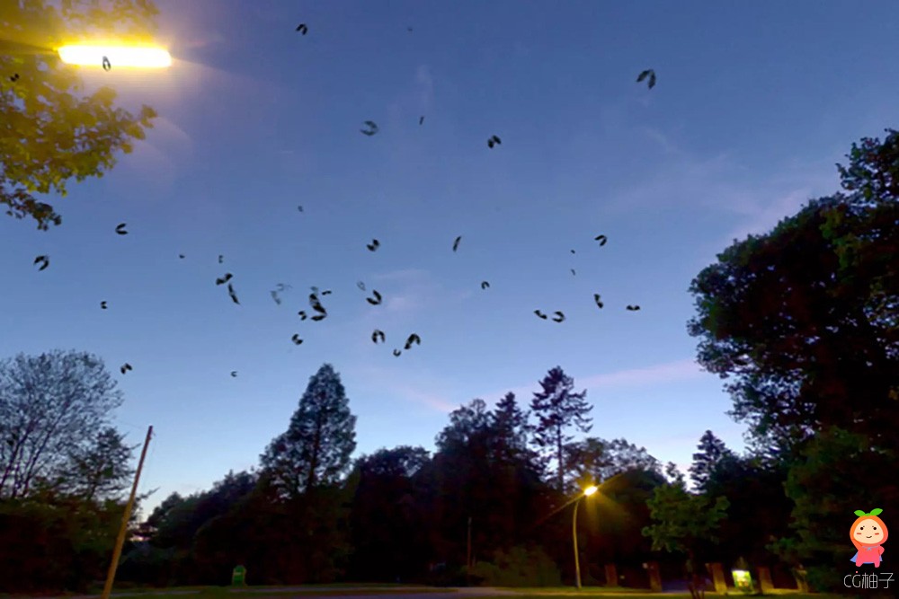 Swarm Of Bats 1.2