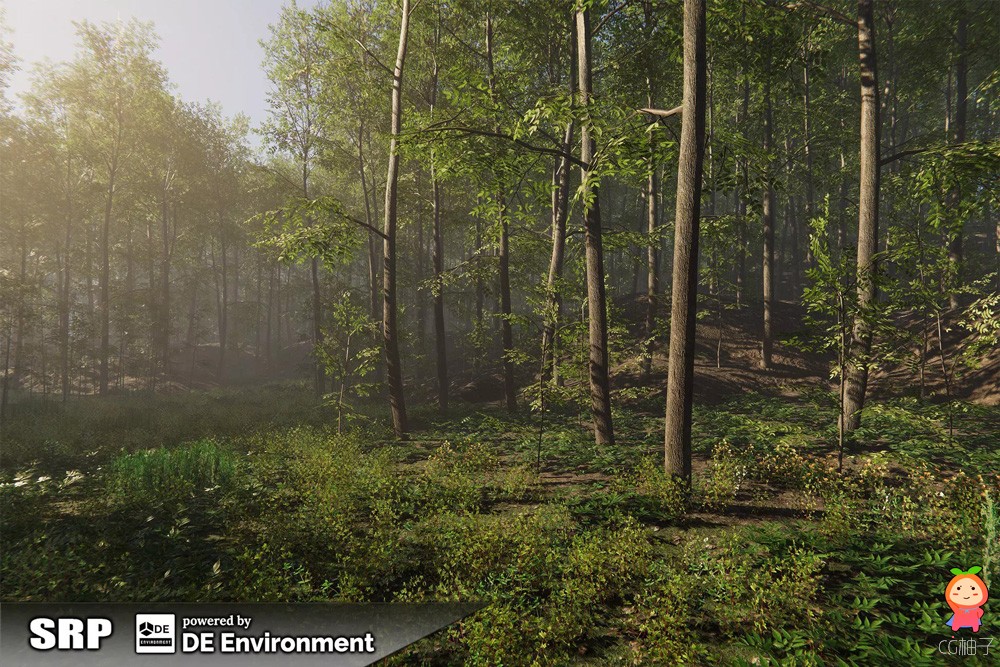Nature Package - Forest Environment 1.4
