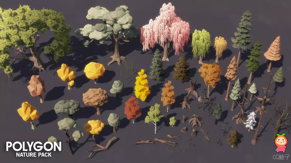 POLYGON Nature - Low Poly 3D Art by Synty 1.12