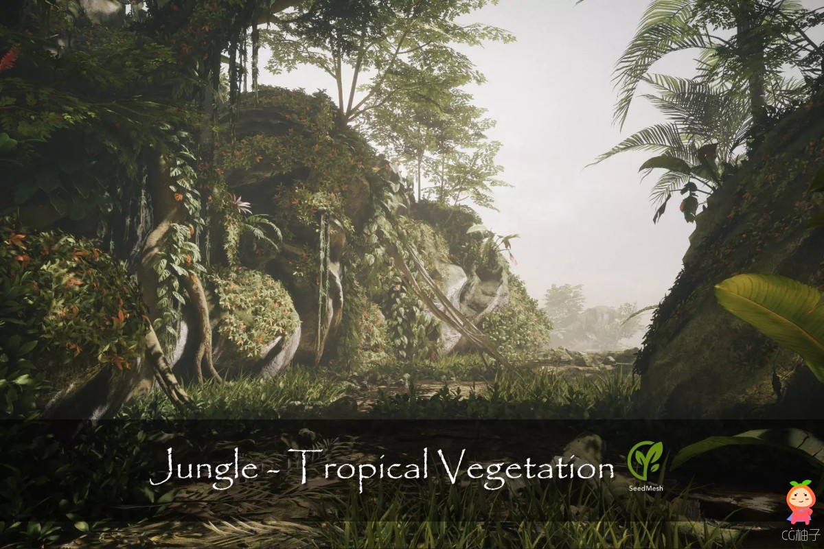 Jungle - Tropical Vegetation 3.2