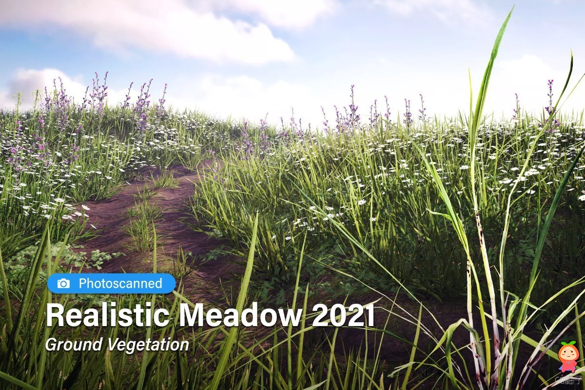 Realistic Meadow 2021 ・ Ground Vegetation 2021.1